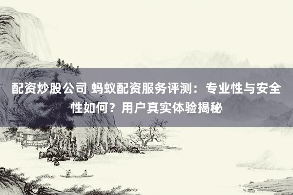 配资炒股公司 蚂蚁配资服务评测：专业性与安全性如何？用户真实体验揭秘