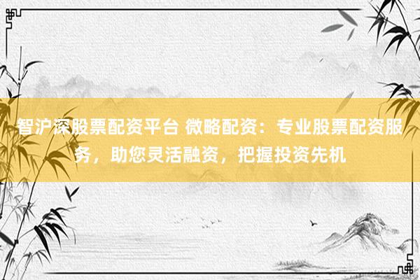 智沪深股票配资平台 微略配资：专业股票配资服务，助您灵活融资，把握投资先机