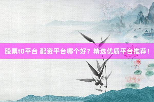 股票t0平台 配资平台哪个好？精选优质平台推荐！