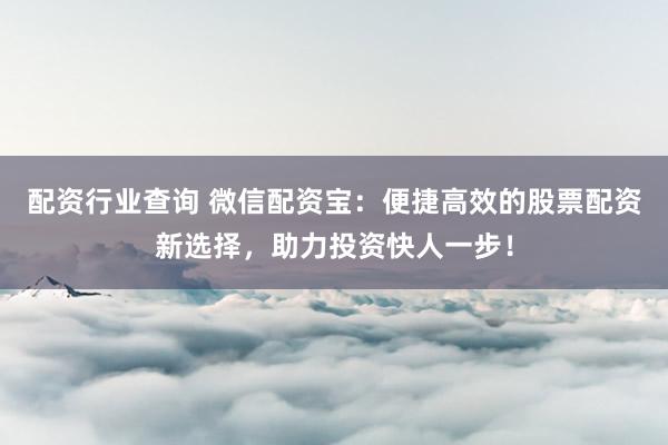 配资行业查询 微信配资宝：便捷高效的股票配资新选择，助力投资快人一步！