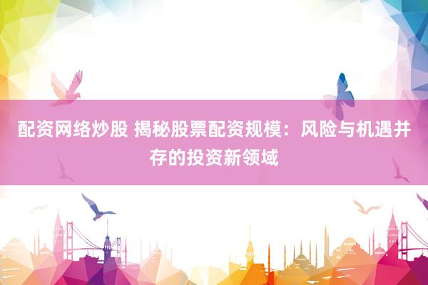 配资网络炒股 揭秘股票配资规模：风险与机遇并存的投资新领域