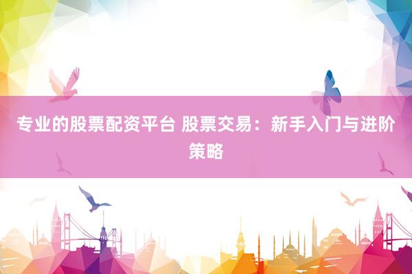 专业的股票配资平台 股票交易：新手入门与进阶策略