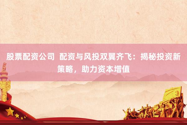股票配资公司  配资与风投双翼齐飞：揭秘投资新策略，助力资本增值