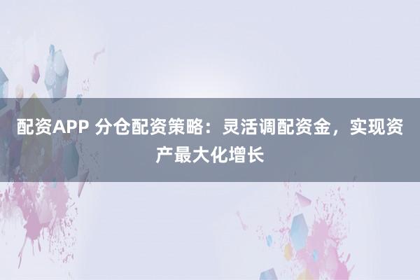 配资APP 分仓配资策略:灵活调配资金,实现资产最大化增长
