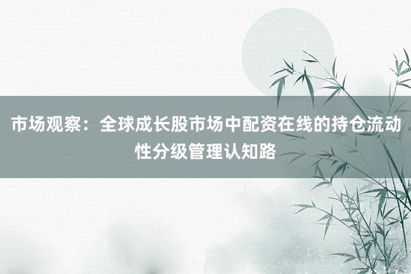 市场观察:全球成长股市场中配资在线的持仓流动性分级管理认知路