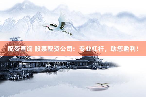 配资查询 股票配资公司：专业杠杆，助您盈利！