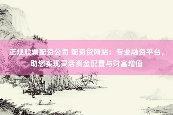 正规股票配资公司 配资贷网站：专业融资平台，助您实现灵活资金配置与财富增值