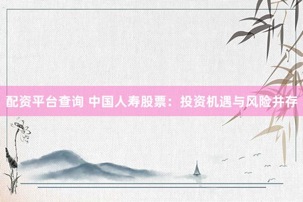 配资平台查询 中国人寿股票：投资机遇与风险并存