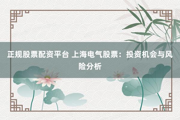 正规股票配资平台 上海电气股票：投资机会与风险分析