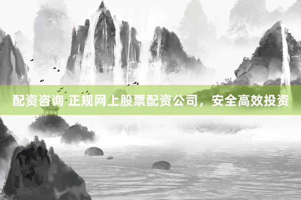 配资咨询 正规网上股票配资公司，安全高效投资