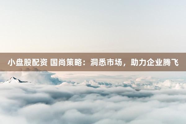 小盘股配资 国尚策略：洞悉市场，助力企业腾飞