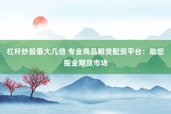 杠杆炒股最大几倍 专业商品期货配资平台：助您掘金期货市场