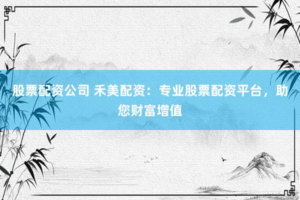 股票配资公司 禾美配资：专业股票配资平台，助您财富增值