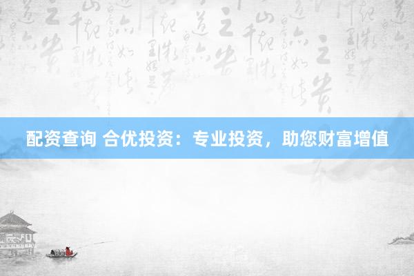 配资查询 合优投资：专业投资，助您财富增值